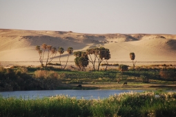 Bank of the River Nile, Egypt