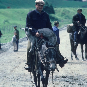 Xinjiang